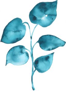 Emily Mann, Ink and Indigo, Fine Art Licensing for Hospitality and Interior Design Projects, Flora 10, INKFLORA009