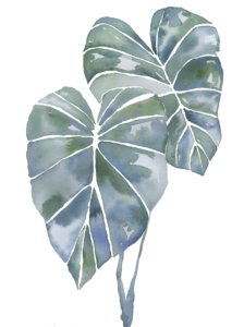 Emily Mann, Ink and Indigo, Fine Art Licensing for Hospitality and Interior Design Projects, Flora 12, INKFLORA011