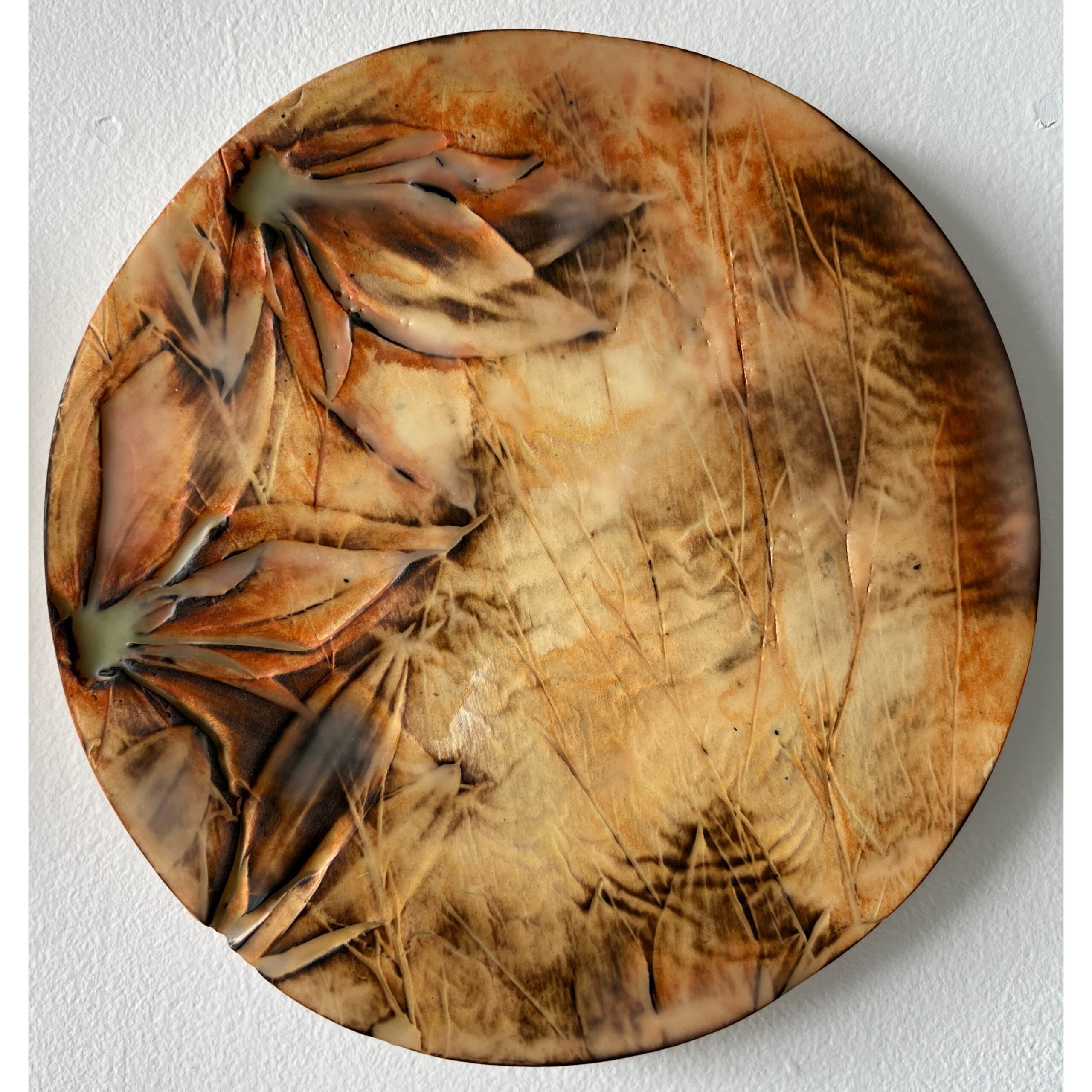 series of 36 paperclay dimensional wall works | Japanese paperclay inlaid with desert inspired botanicals, flame embellished, with watercolor and encaustic wax finish | 10" dia each