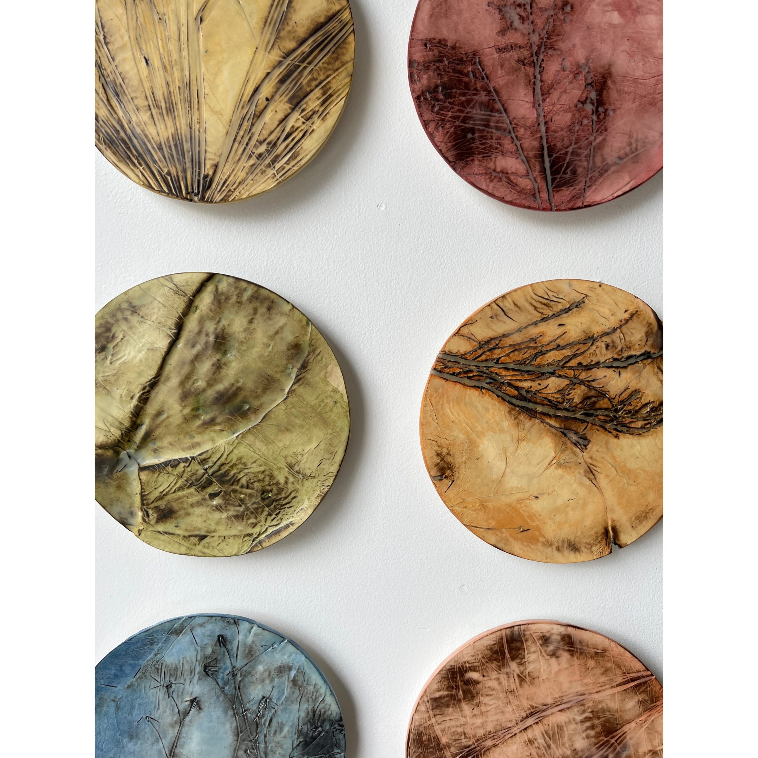 series of 36 paperclay dimensional wall works | Japanese paperclay inlaid with desert inspired botanicals, flame embellished, with watercolor and encaustic wax finish | 10" dia each