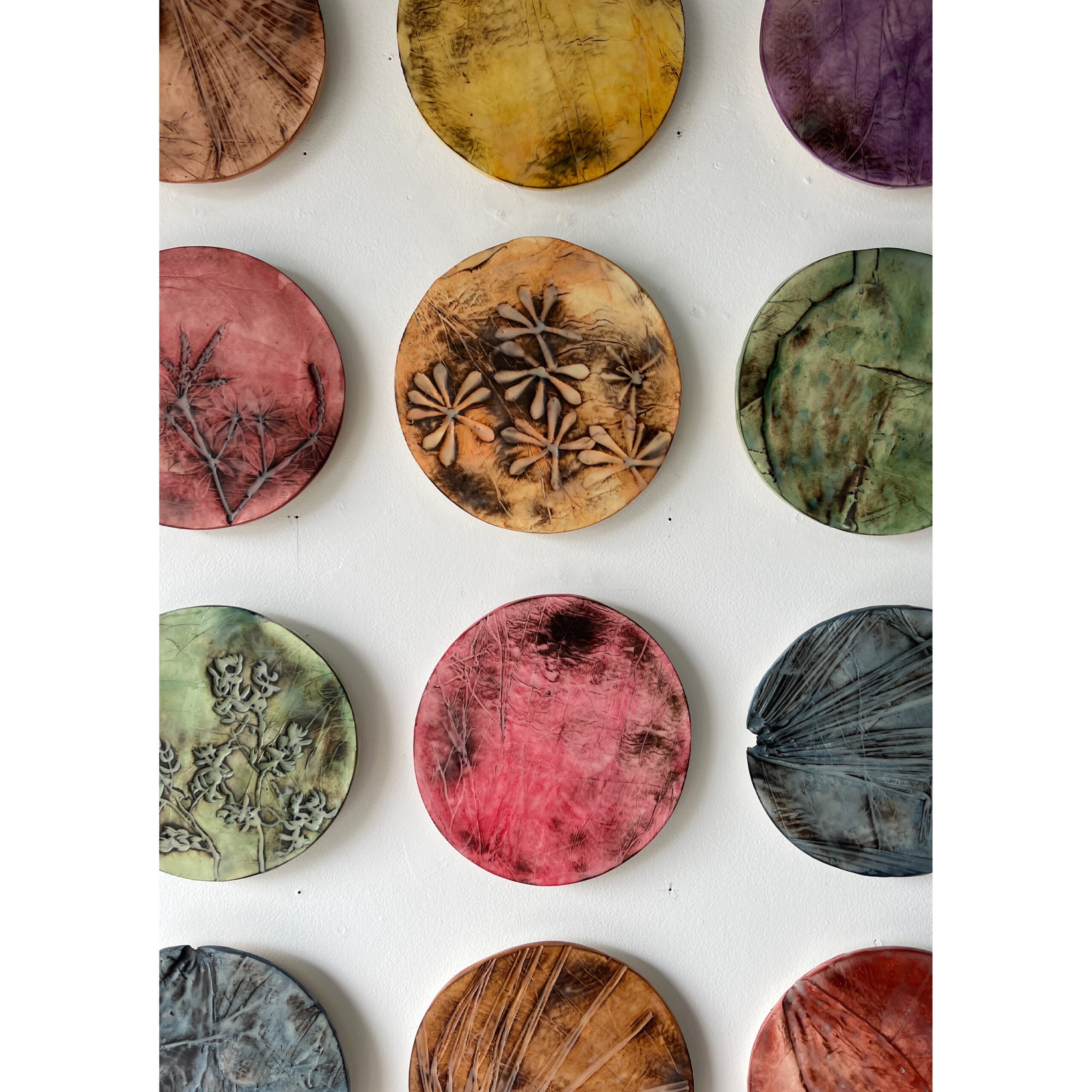 series of 36 paperclay dimensional wall works | Japanese paperclay inlaid with desert inspired botanicals, flame embellished, with watercolor and encaustic wax finish | 10" dia each