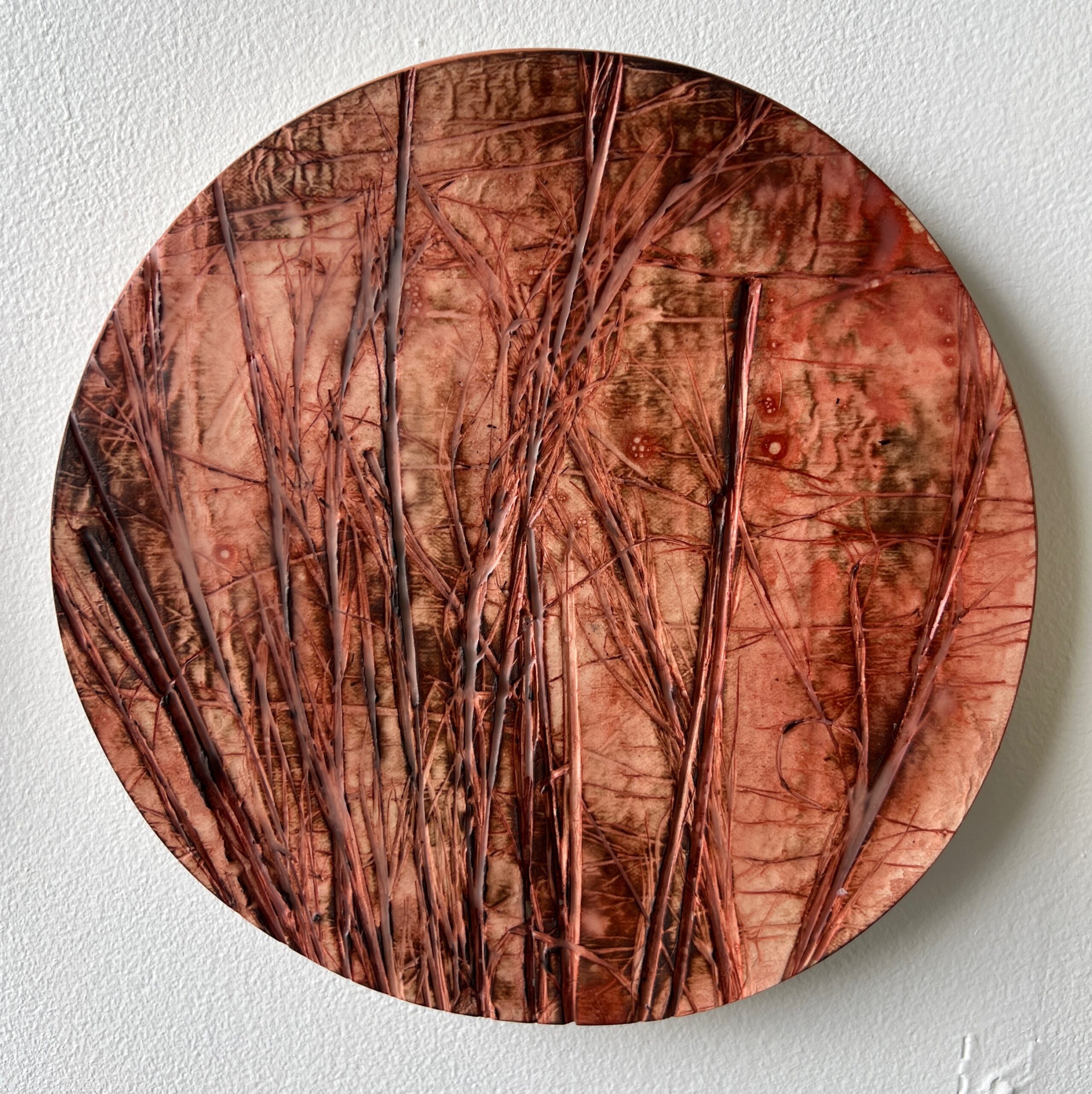 series of 36 paperclay dimensional wall works | Japanese paperclay inlaid with desert inspired botanicals, flame embellished, with watercolor and encaustic wax finish | 10" dia each