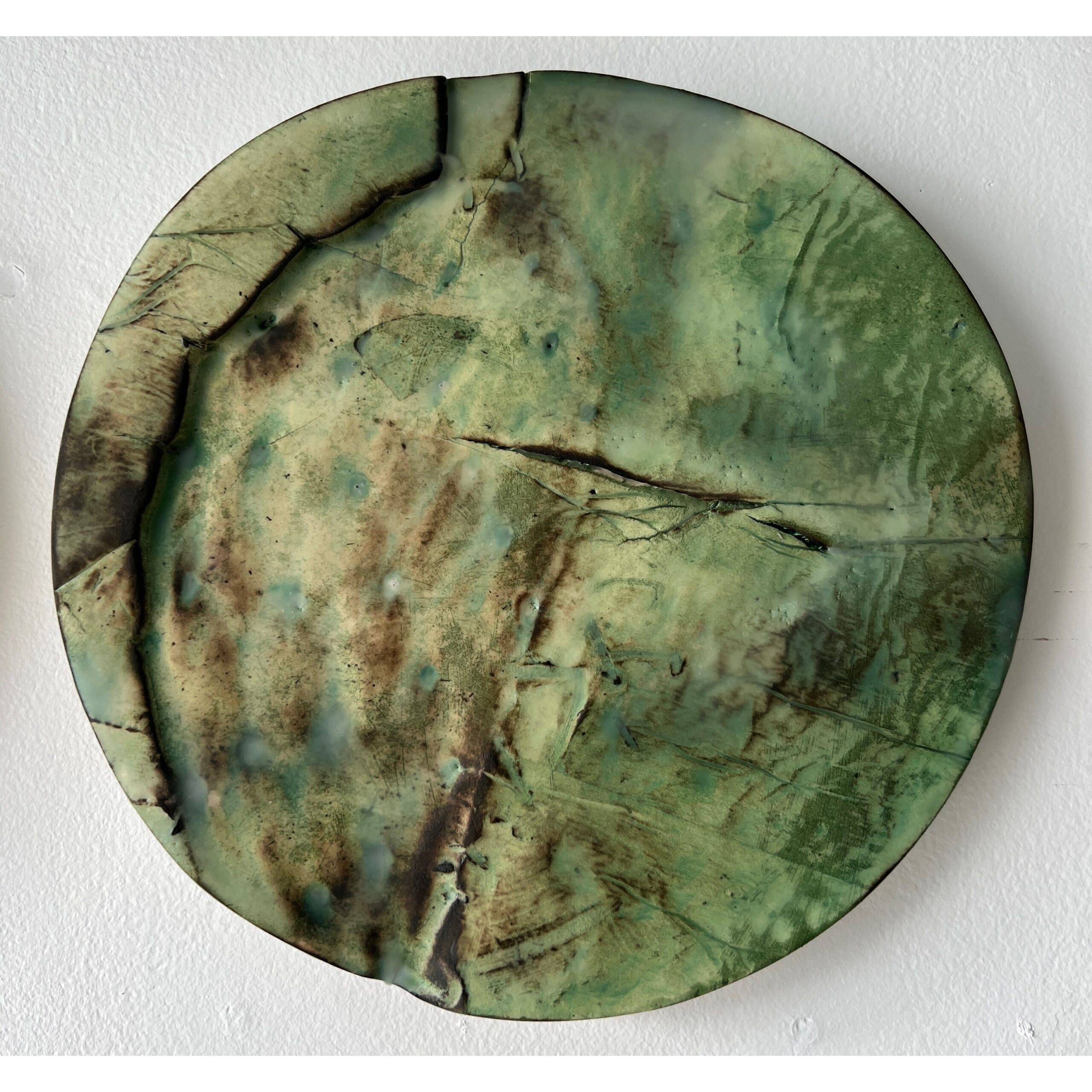 series of 36 paperclay dimensional wall works | Japanese paperclay inlaid with desert inspired botanicals, flame embellished, with watercolor and encaustic wax finish | 10" dia each