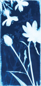 Ink and Indigo, Nocturne Botanica 3, NOCT003_