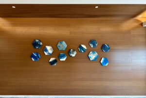 Ink and Indigo, Hex Clay Dimensional Wall Art Installation View at Methodist Richardson Medical Center, paperclay and encaustic hex forms with botanical imprints, approx 12-15 in each