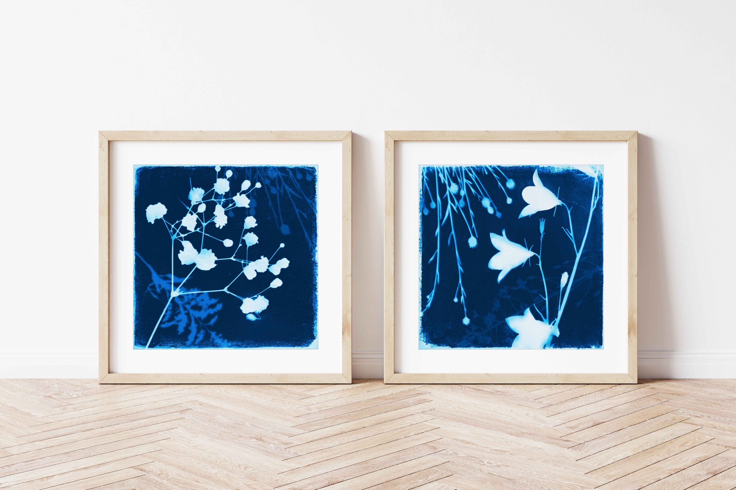 Emily Mann | Ink and Indigo, Nocturne Botanica 7 + 11 in Inky Blue, fine art licensing and print on demand